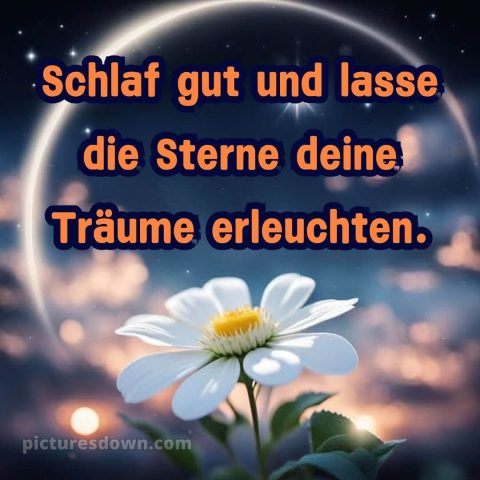 Gute nacht bilder neu kostenlos für whatsapp bild Blume kostenlos