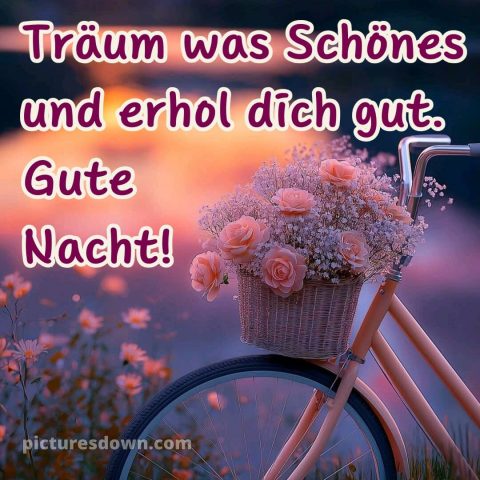 Gute nacht bilder neu kostenlos für whatsapp bild Blumen kostenlos