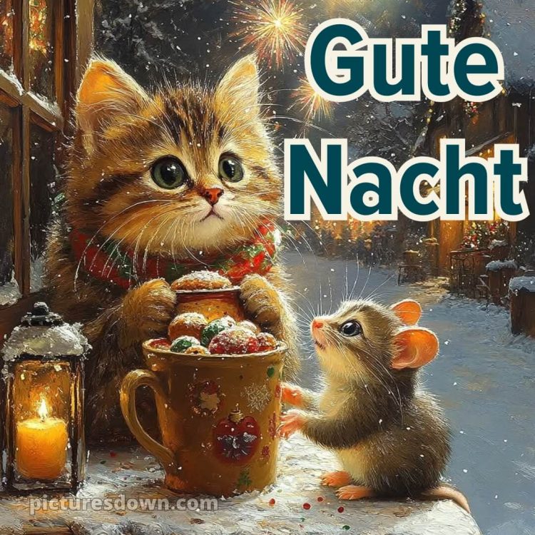 Gute nacht bilder neu kostenlos für whatsapp bild Katze und Maus kostenlos