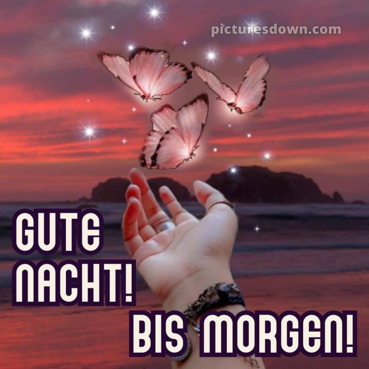Gute nacht bilder neu kostenlos für whatsapp bild Hand kostenlos