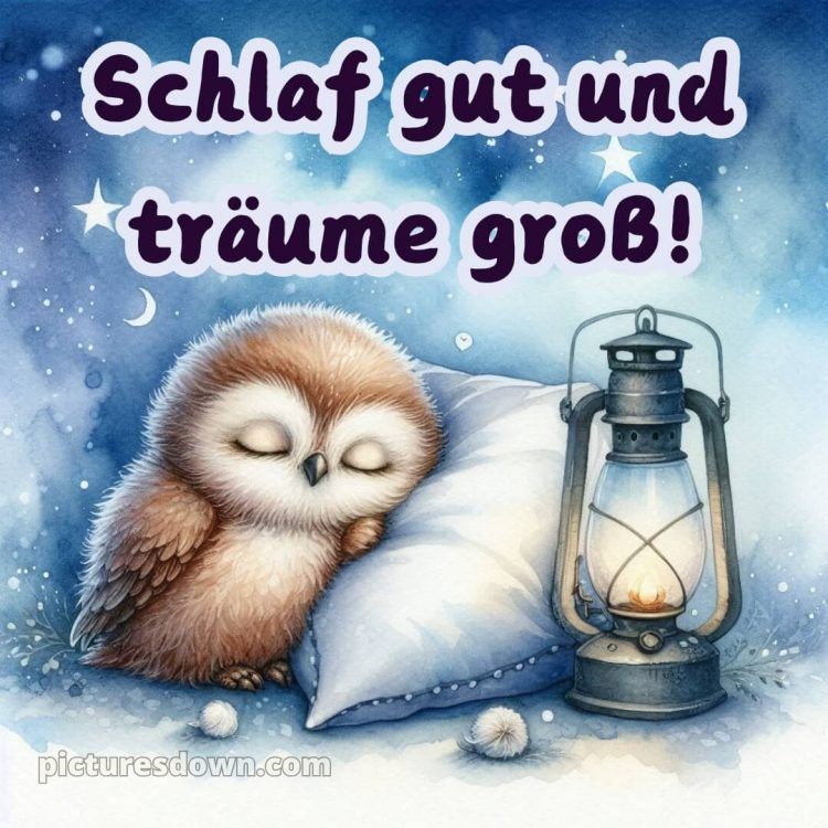Gute nacht bilder neu kostenlos für whatsapp bild Eule kostenlos