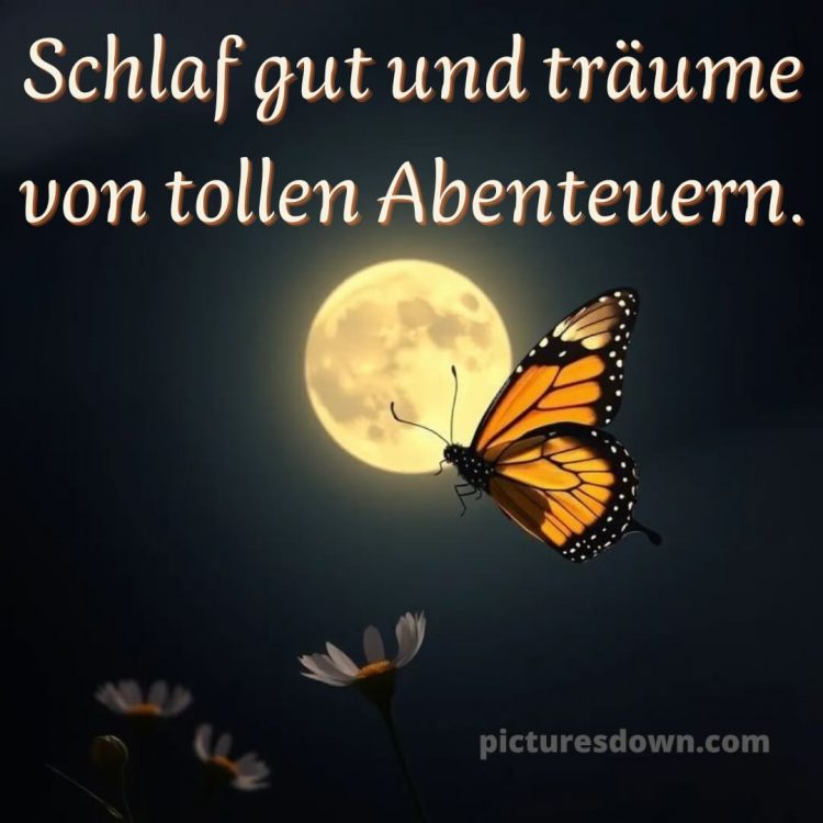 Gute nacht bilder neu kostenlos für whatsapp bild Gänseblümchen kostenlos