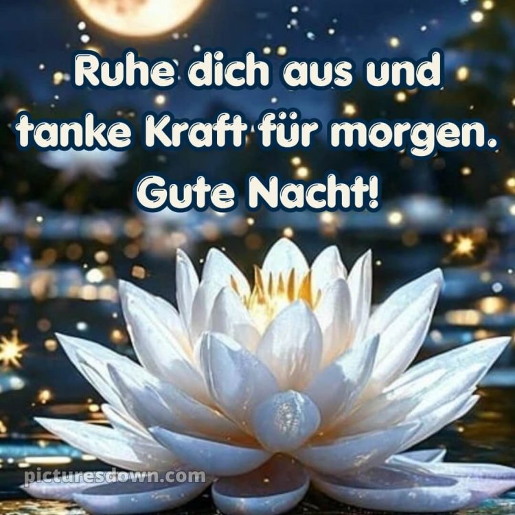 Gute nacht bilder neu kostenlos für whatsapp bild Lilie kostenlos