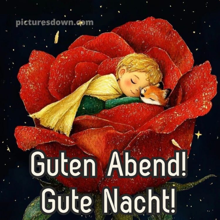 Guten abend gute nacht bilder für whatsapp bild Rose kostenlos