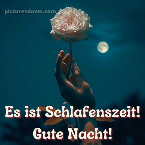 Guten abend gute nacht bilder für whatsapp bild Hand kostenlos