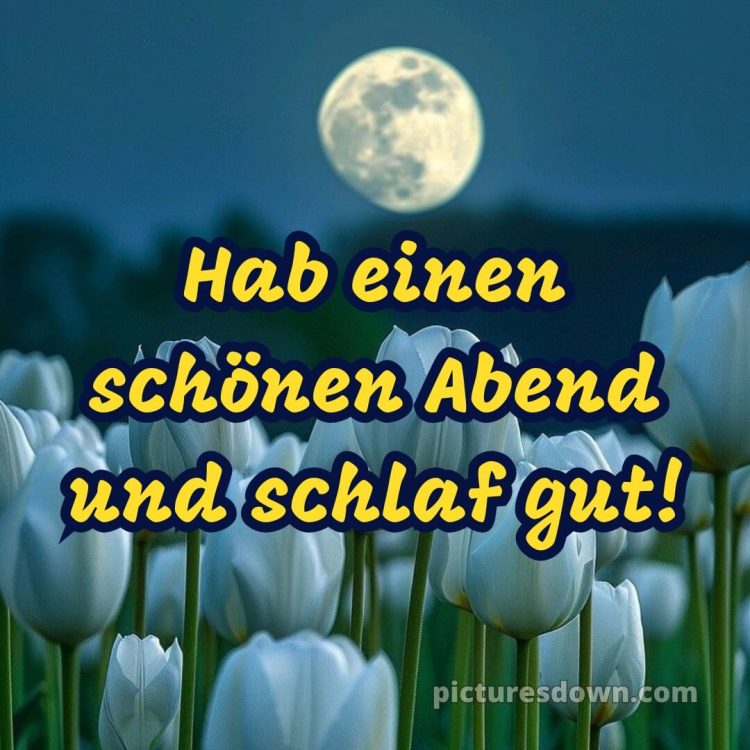 Guten abend gute nacht bilder für whatsapp bild Tulpen kostenlos