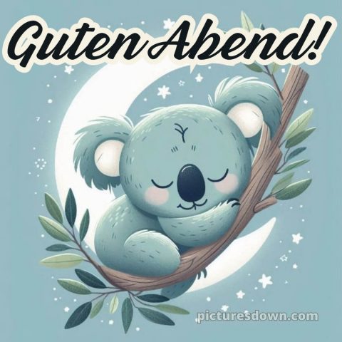Guten abend gute nacht bilder für whatsapp bild Koala kostenlos