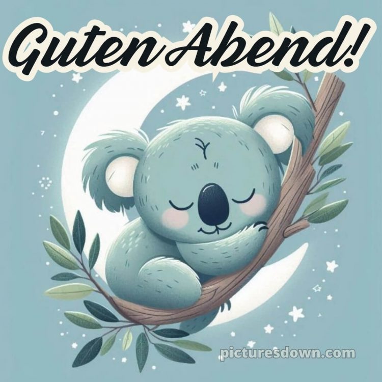 Guten abend gute nacht bilder für whatsapp bild Koala kostenlos