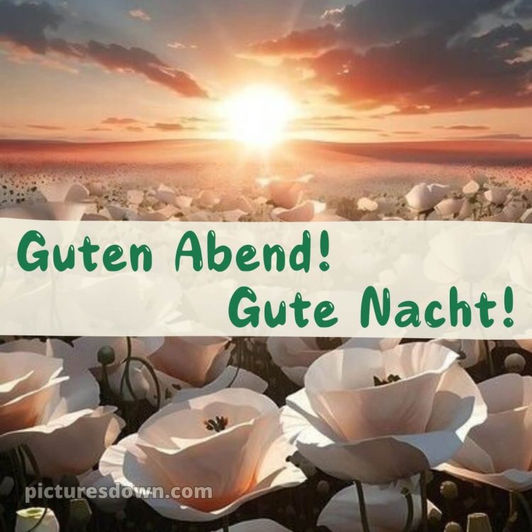 Guten abend gute nacht bilder für whatsapp kostenlos bild Karte kostenlos