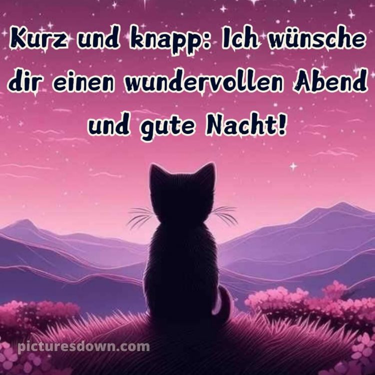 Guten abend gute nacht bilder für whatsapp kostenlos bild schwarze Katze kostenlos