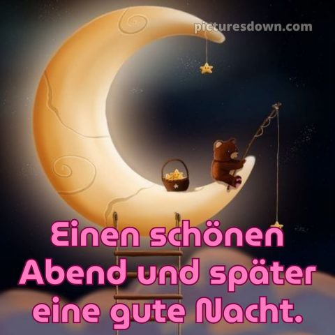 Guten abend gute nacht bilder für whatsapp kostenlos bild Bär kostenlos