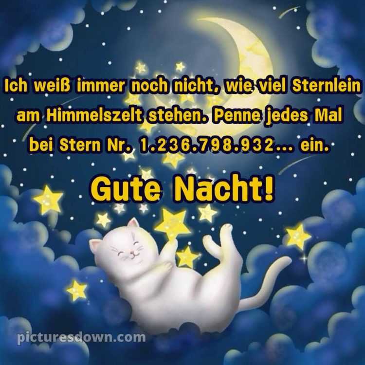 Guten abend gute nacht bilder lustig kostenlos für whatsapp bild Sterne kostenlos