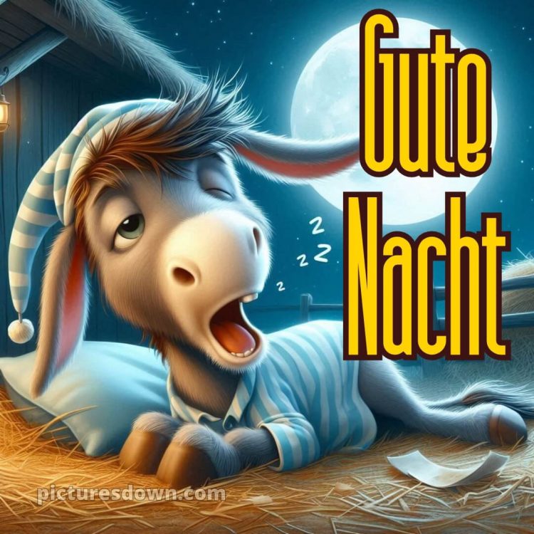 Guten abend gute nacht bilder lustig kostenlos für whatsapp bild Esel kostenlos