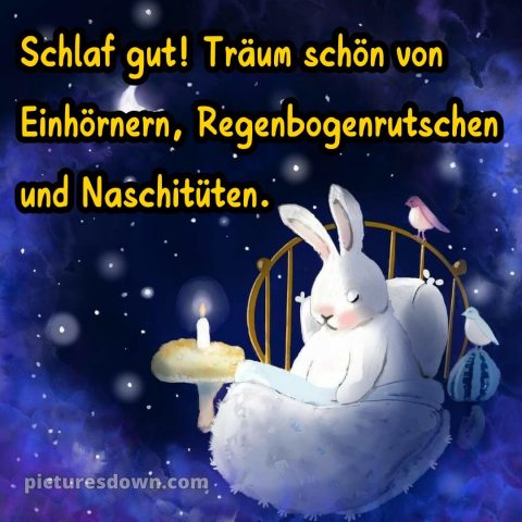 Guten abend gute nacht bilder lustig kostenlos für whatsapp bild Bett kostenlos