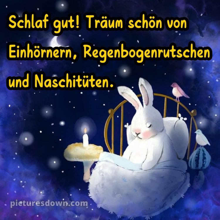Guten abend gute nacht bilder lustig kostenlos für whatsapp bild Bett kostenlos
