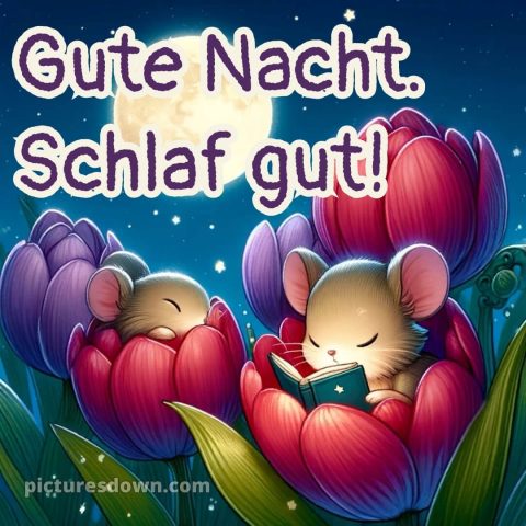 Guten abend gute nacht bilder lustig kostenlos für whatsapp bild Mäuse kostenlos