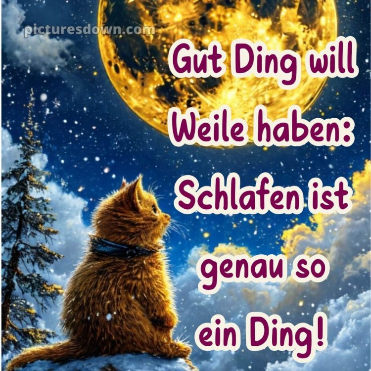 Guten abend gute nacht bilder lustig kostenlos für whatsapp bild Schnee kostenlos
