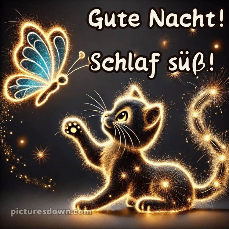 Guten abend gute nacht bilder lustig kostenlos für whatsapp bild Schmetterling kostenlos
