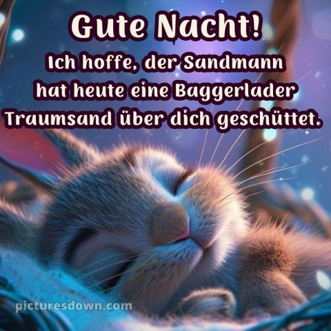 Guten abend gute nacht bilder lustig kostenlos für whatsapp bild Hase kostenlos