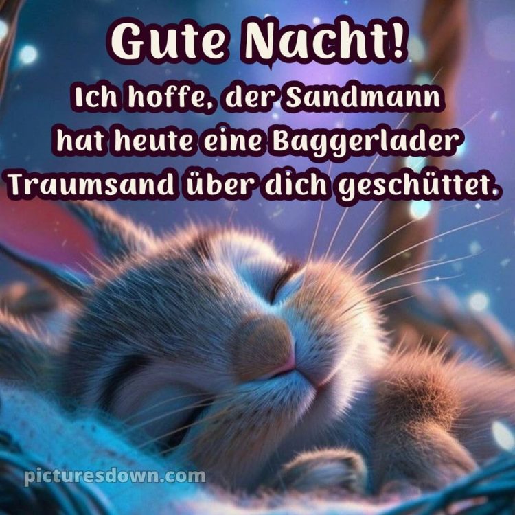 Guten abend gute nacht bilder lustig kostenlos für whatsapp bild Hase kostenlos