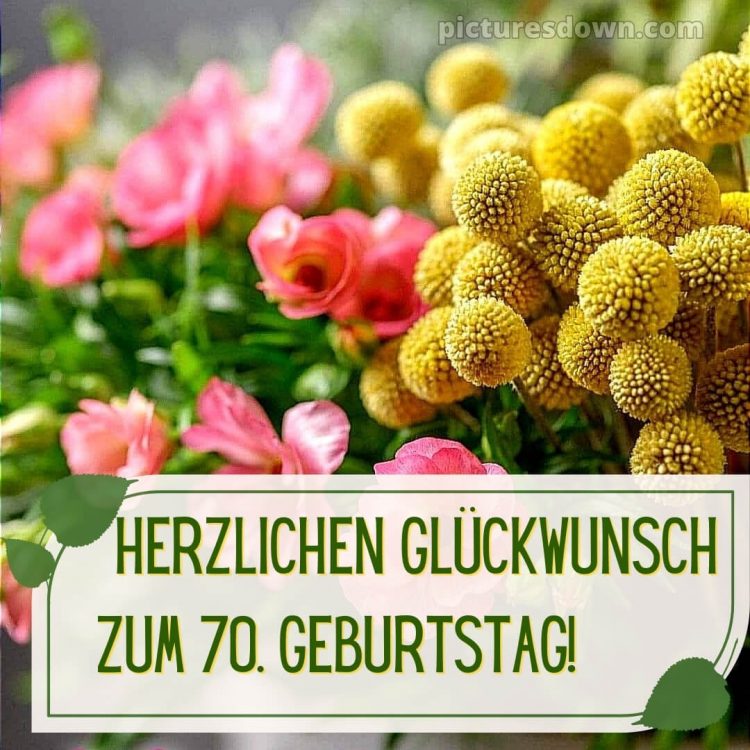 Kurze glückwünsche zum 70. geburtstag frau bild Blumen kostenlos
