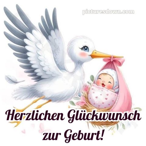 Kurze glückwünsche zur geburt bild Storch kostenlos