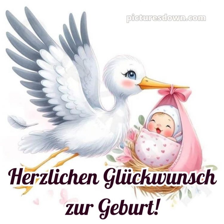 Kurze glückwünsche zur geburt bild Storch kostenlos