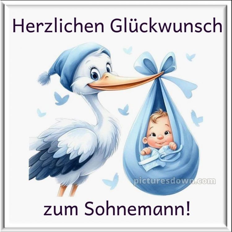 Kurze glückwünsche zur geburt eines jungen bild Storch kostenlos