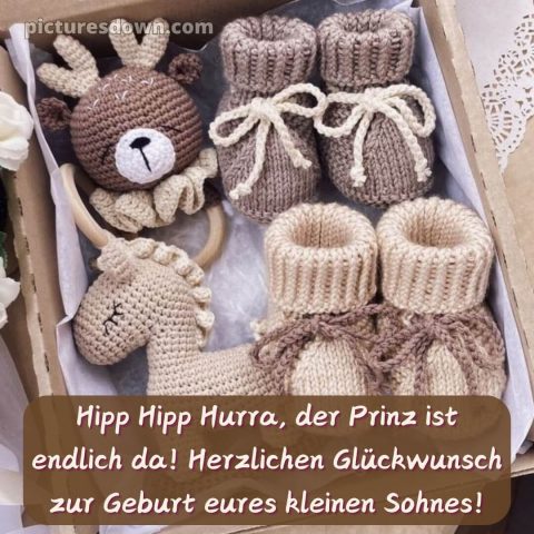 Kurze glückwünsche zur geburt eines jungen bild Pignetten kostenlos