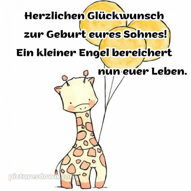 Kurze glückwünsche zur geburt eines jungen bild Giraffe kostenlos