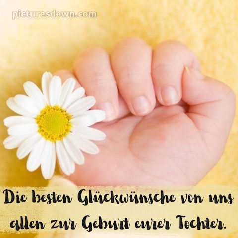 Kurze glückwünsche zur geburt mädchen bild Gänseblümchen kostenlos