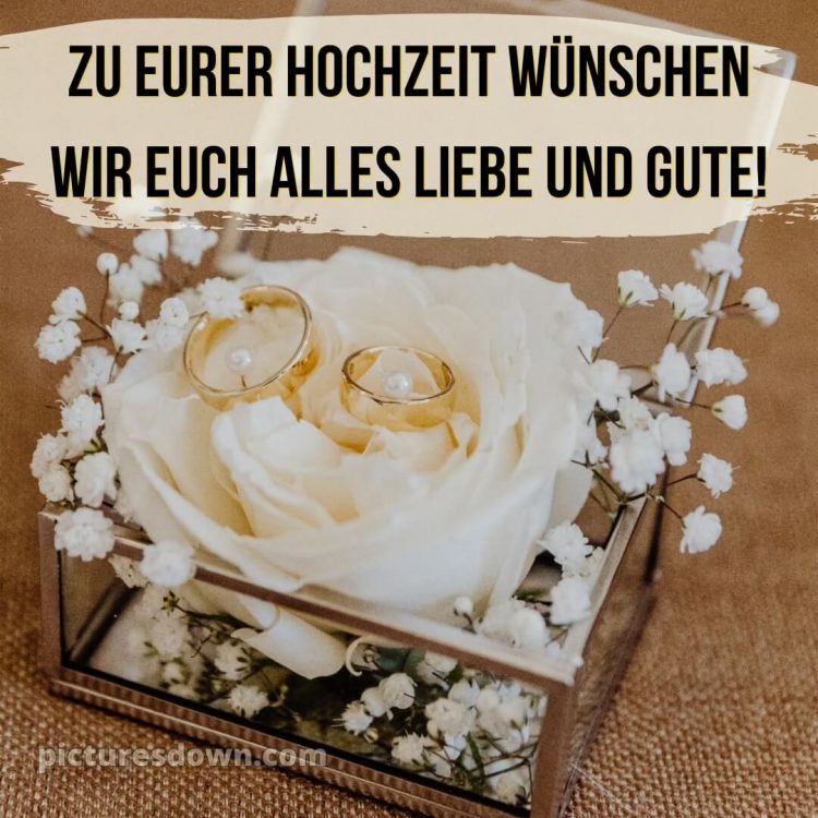 Kurze glückwünsche zur hochzeit kostenlos bild Box kostenlos