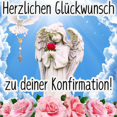 Kurze glückwünsche zur konfirmation bild Rosen kostenlos