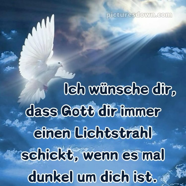 Kurze glückwünsche zur konfirmation bild Taube kostenlos