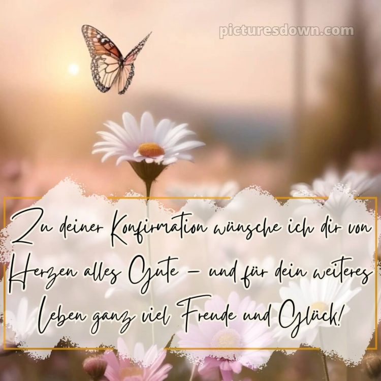 Kurze glückwünsche zur konfirmation bild Schmetterling kostenlos