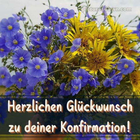 Kurze glückwünsche zur konfirmation bild Strauß kostenlos