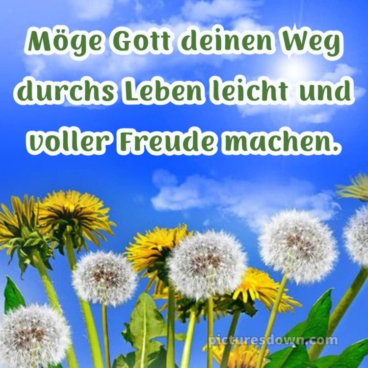 Kurze glückwünsche zur konfirmation bild Löwenzahn kostenlos