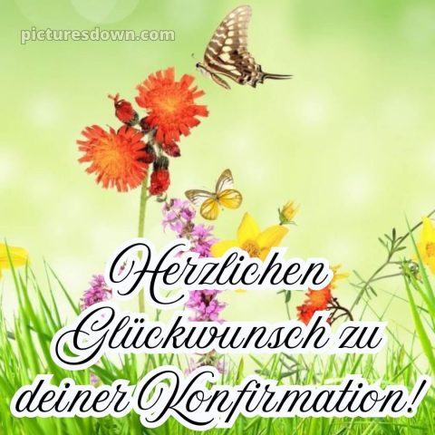 Kurze glückwünsche zur konfirmation bild Gras kostenlos