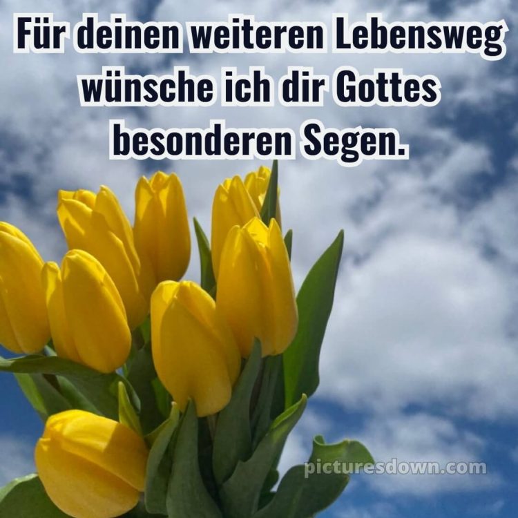 Kurze glückwünsche zur konfirmation bild Tulpen kostenlos
