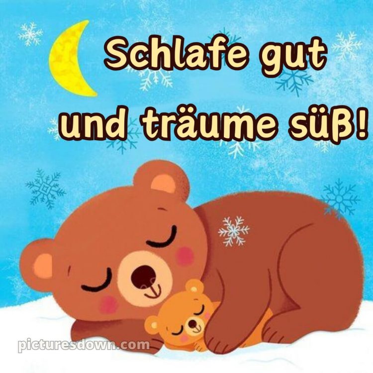 Lustige gute nacht bilder für whatsapp bild Bär kostenlos
