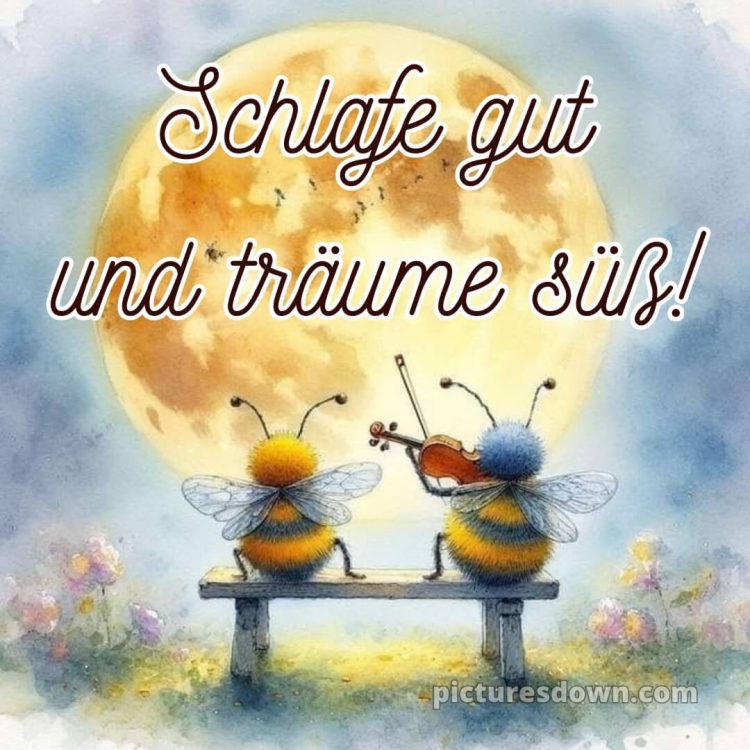 Lustige gute nacht bilder für whatsapp bild Bienen kostenlos