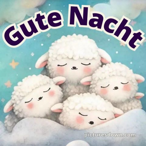 Lustige gute nacht bilder für whatsapp bild vier Schafe kostenlos