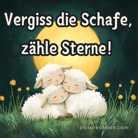 Lustige gute nacht bilder für whatsapp bild drei Schafe kostenlos