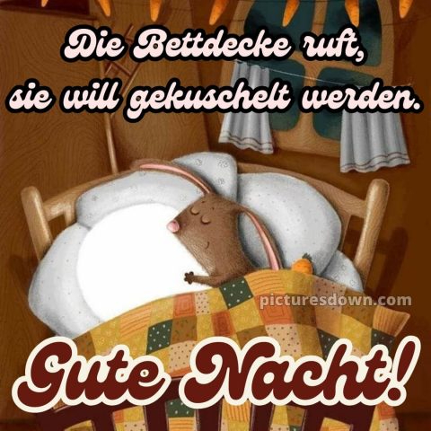 Lustige gute nacht bilder für whatsapp bild Bett kostenlos