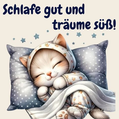 Lustige gute nacht bilder für whatsapp bild Kissen kostenlos