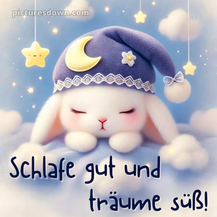 Lustige gute nacht bilder für whatsapp bild Hase kostenlos