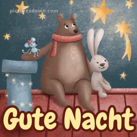Lustige gute nacht bilder für whatsapp bild Tiere kostenlos