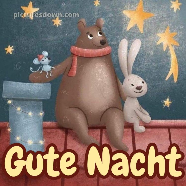 Lustige gute nacht bilder für whatsapp bild Tiere kostenlos