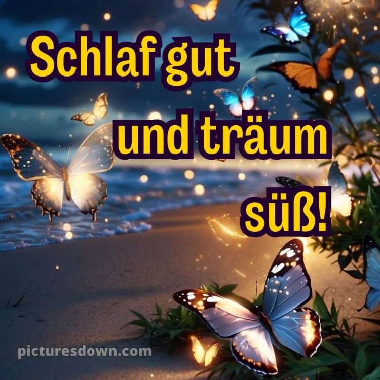 Schlaf gute nacht bilder für whatsapp kostenlos bild Strand kostenlos