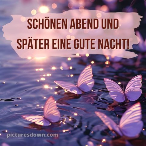 Schönen abend und später eine gute nacht bilder kostenlos whatsapp mittwoch bild Schmetterlinge kostenlos